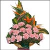 Charming Spell - Click here to View more details about this Product